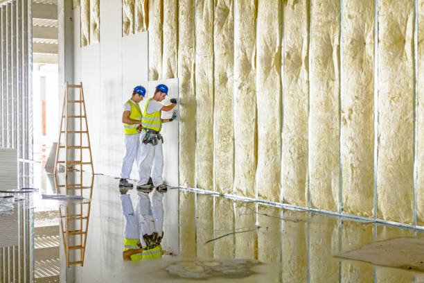 Best Insulation Removal  in USA